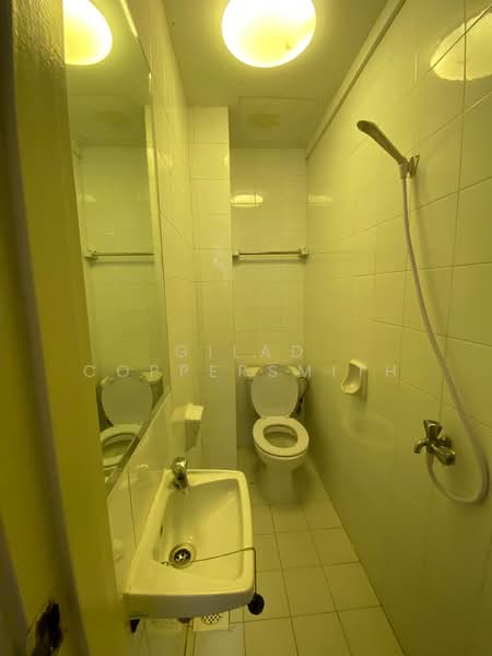 Royal Palm Mansions, 330 Pasir Panjang Road, 3 Bedrooms, 1,238 sqft, Condominium For Rent, by Gilad Coppersmith, 500209591 - Bathroom - PropertyGuru.com.sg