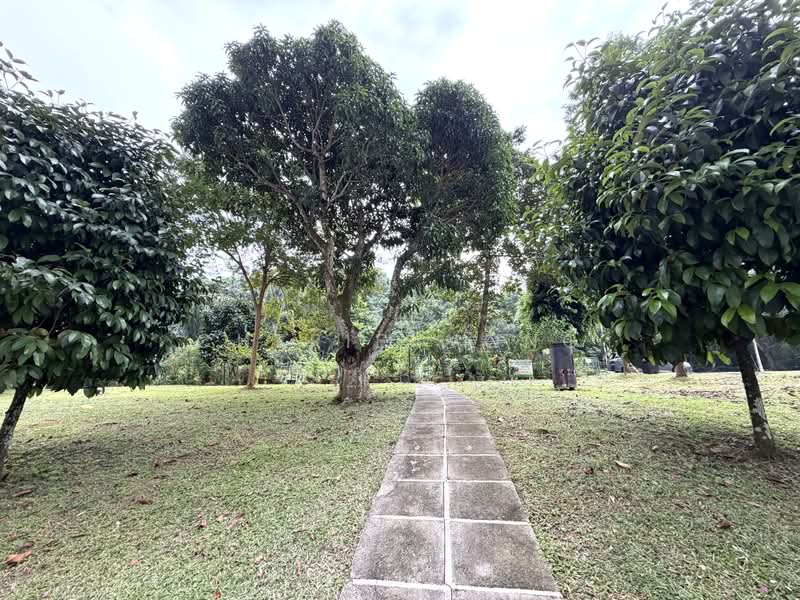 118 Clementi Street 13, 118 Clementi Street 13, 3 Bedrooms, 1,119 sqft, HDB Flat For Sale, by Cherie Wong, 500209679 - Garden - PropertyGuru.com.sg