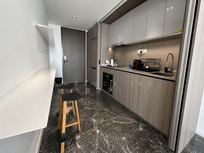 Avenue South Residence, 1 Silat Avenue, 1 Bedroom, 527 sqft, Condominium For Rent, by Lawrence Teo (赵世廷), 500210028 - Kitchen - PropertyGuru.com.sg