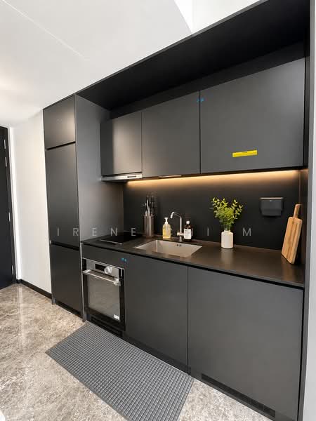 120 Grange, 120 Grange Road, 2 Bedrooms, 570 sqft, Condominium For Sale, by Irene Chiam, 500210308 - Kitchen - PropertyGuru.com.sg