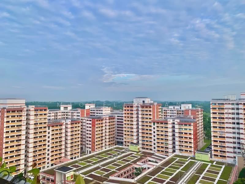 417 Choa Chu Kang Avenue 4, 417 Choa Chu Kang Avenue 4, 3 Bedrooms, 1,130 sqft, HDB Flat For Sale, by Michelle Tan, 500210791 - Exterior - PropertyGuru.com.sg
