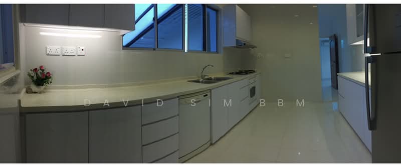 Binjai Park, 100 Binjai Park, 5 Bedrooms, 5,000 sqft, Good Class Bungalow For Sale, by David Sim BBM, 500210804 - Kitchen - PropertyGuru.com.sg