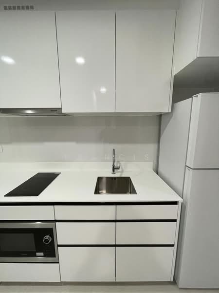 Parc Botannia, 16 Fernvale Street, 2 Bedrooms, 581 sqft, Condominium For Rent, by Francis Michael, 500210901 - Kitchen - PropertyGuru.com.sg