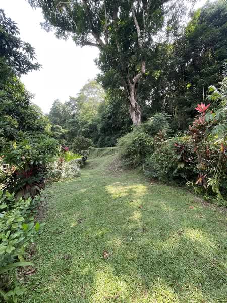 RARE!! ELEVATED LUSH GREENERY FACING!, Bukit Timah Vicinity, 6 Bedrooms, 5,000 sqft, Bungalow House For Sale, by Emily Ho, 500211126 - Exterior - PropertyGuru.com.sg