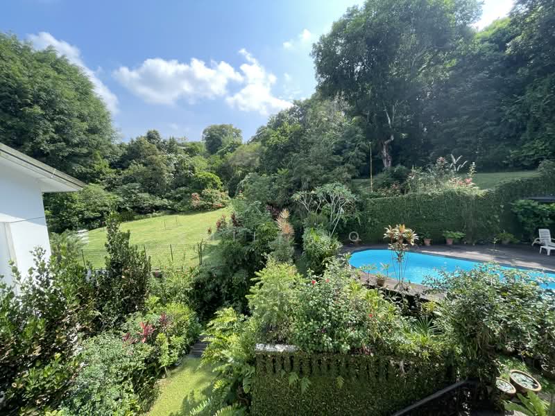 RARE! FOREST VIEW AT YOUR DOORSTEP!, Bukit Timah Vicinity, 6 Bedrooms, 5,000 sqft, Bungalow House For Sale, by Emily Ho, 500211161 - Garden - PropertyGuru.com.sg