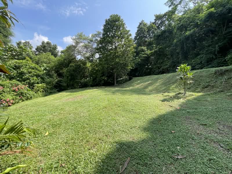 RARE! FOREST VIEW AT YOUR DOORSTEP!, Bukit Timah Vicinity, 6 Bedrooms, 5,000 sqft, Bungalow House For Sale, by Emily Ho, 500211161 - Garden - PropertyGuru.com.sg
