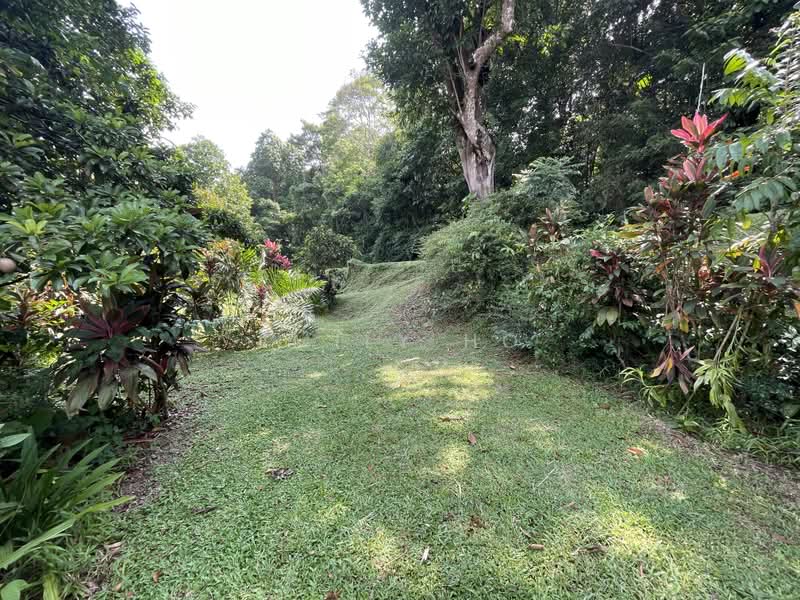 RARE! FOREST VIEW AT YOUR DOORSTEP!, Bukit Timah Vicinity, 6 Bedrooms, 5,000 sqft, Bungalow House For Sale, by Emily Ho, 500211161 - Garden - PropertyGuru.com.sg