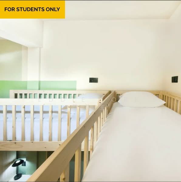 Coliwoo Lavender Collection | Student Hostel, , Room Rental, 130 sqft, Walk-up Apartment For Rent, by Eddie Tork 戴先生, 500211415 - Bedroom - PropertyGuru.com.sg