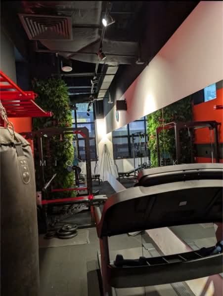 8 On Claymore, 8 Claymore Hill, 27,675 sqft, Other Retail For Rent, by Michael Bek, 500211431 - Gym - CommercialGuru.com.sg
