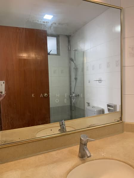 Ritz Mansions, 346 Balestier Road, 3 Bedrooms, 1,281 sqft, Apartment For Rent, by Katherine Oey, 500211647 - Bathroom - PropertyGuru.com.sg