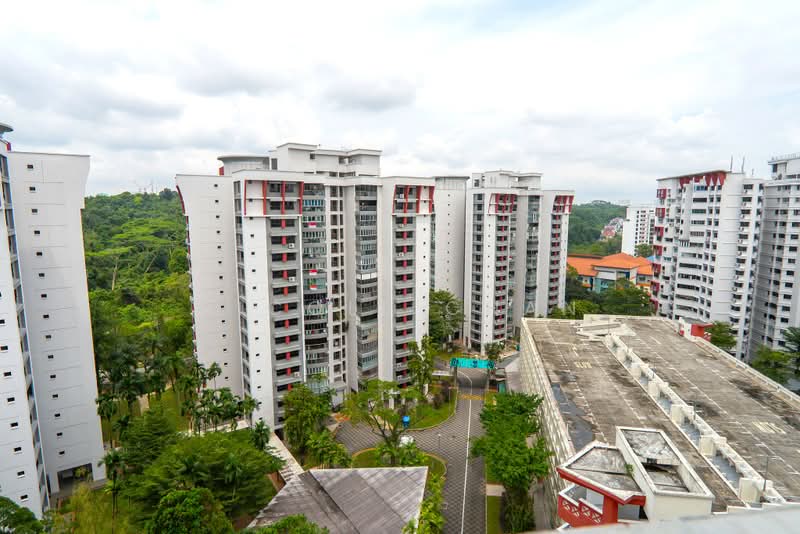 288G Bukit Batok Street 25, 288G Bukit Batok Street 25, 4 Bedrooms, 1,776 sqft, HDB Flat For Sale, by Nicole Chan, 500211812 - Balcony View - PropertyGuru.com.sg