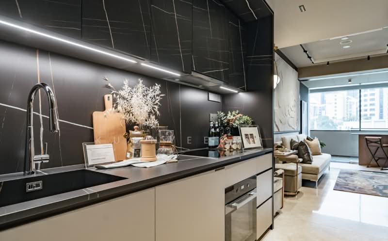 CanningHill Piers, 1 Clarke Quay, 1 Bedroom, 538 sqft, Condominium For Sale, by Kuanyee Goh, 500212032 - Kitchen - PropertyGuru.com.sg