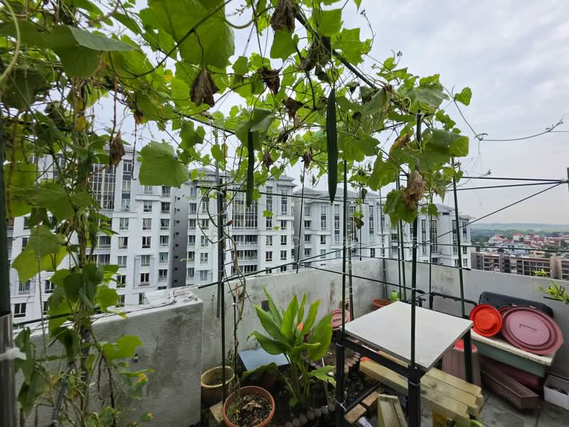 Yishun Sapphire, 42 Canberra Drive, 4 Bedrooms, 2,100 sqft, Condominium For Sale, by TJ Choo 朱芸苇, 500212104 - Balcony - PropertyGuru.com.sg
