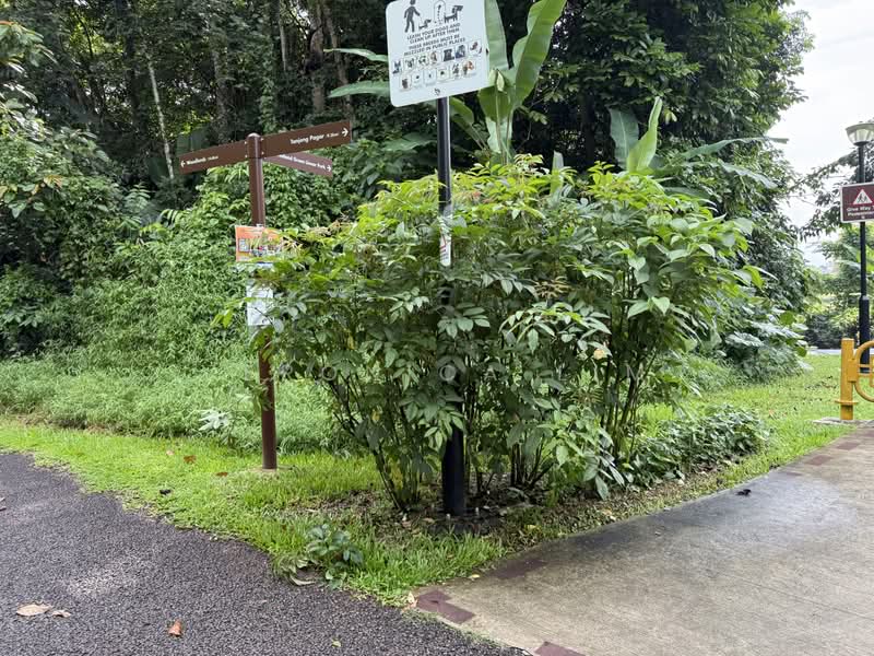 Amberwood, Tanglin / Holland / Bukit Timah, 4 Bedrooms, 1,076 sqft, Condominium For Sale, by Veronica Lim, 500212112 - PropertyGuru.com.sg