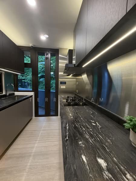 Fernhill Road, , 6 Bedrooms, 7,441 sqft, Semi-Detached House For Sale, by Terrie Lam, 500212252 - Kitchen - PropertyGuru.com.sg