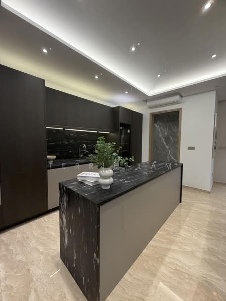 Fernhill Road, , 6 Bedrooms, 7,441 sqft, Semi-Detached House For Sale, by Terrie Lam, 500212252 - Kitchen - PropertyGuru.com.sg