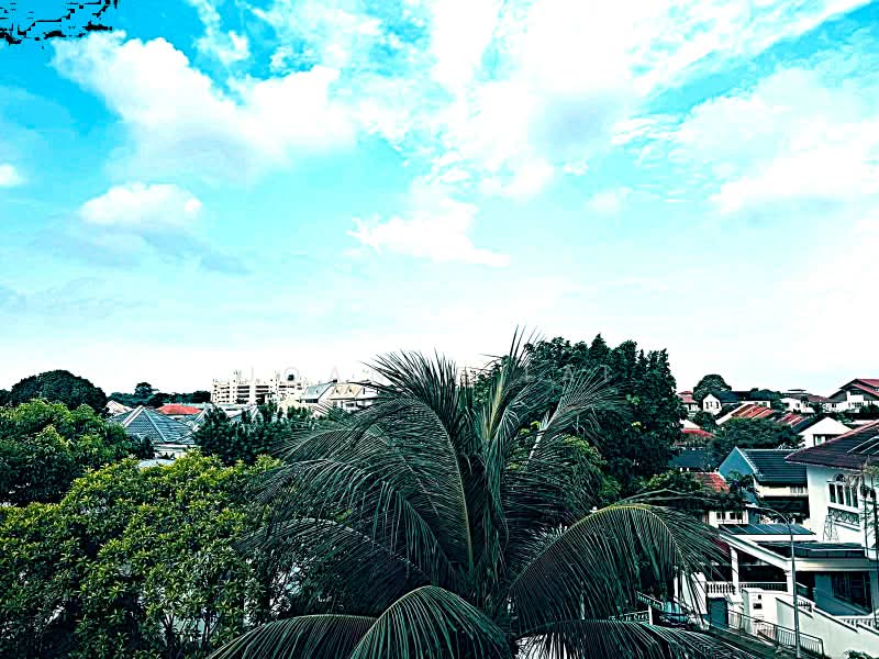✪ NEW LIST ✪ SOLE AGENT HILLTOP ELEVATED BUNGALOW @ RAFFLES PARK, Raffles Park, 5 Bedrooms, 10,000 sqft, Bungalow House For Sale, by Joanne Lai, 500212287 - Exterior - PropertyGuru.com.sg