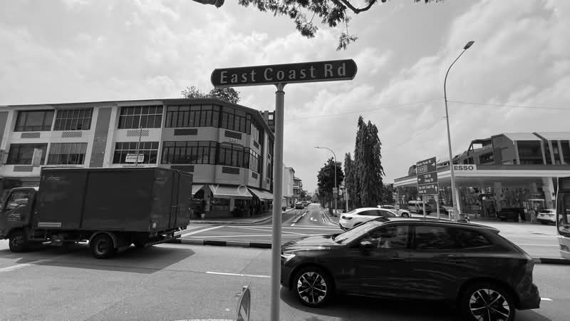 CHEAP Freehold Full Commercial Shophouse, East Coast Road, 2,700 sqft, Shop / Shophouse For Sale, by YQ Lai, 500212348 - Exterior - CommercialGuru.com.sg