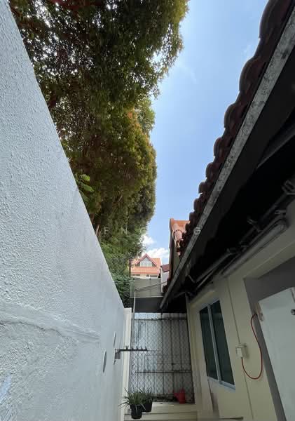 Fidelio Street, Fidelio Street, 4 Bedrooms, 2,300 sqft, Terraced House For Sale, by Peng Ng, 500212642 - Back yard - PropertyGuru.com.sg