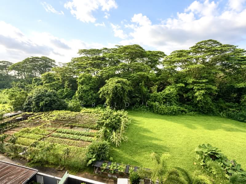 Kerong Walk, Kerong Walk, Kerong Lane, Wak Hassan Place, Wak Hassan Drive, Inggu Road, 8 Bedrooms, 6,800 sqft, Corner Terrace For Sale, by Gerald Lee, 500212675 - Exterior - PropertyGuru.com.sg