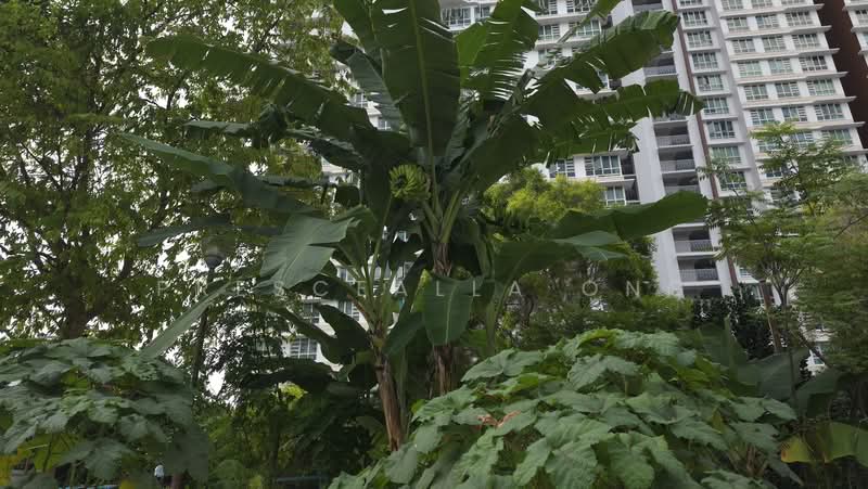 194B Bukit Batok West Avenue 6, 194B Bukit Batok West Avenue 6, 3 Bedrooms, 1,238 sqft, HDB Flat For Sale, by Prescealla Ong, 500212901 - Exterior - PropertyGuru.com.sg
