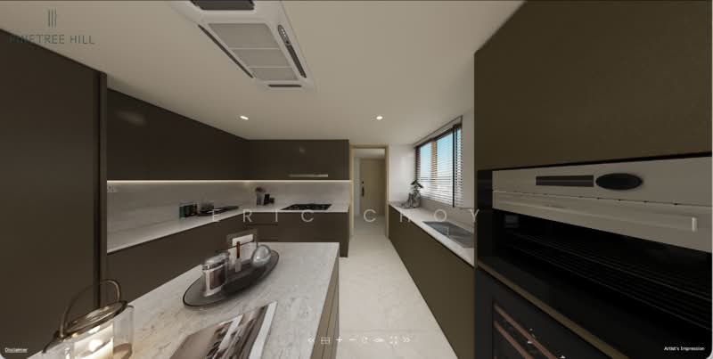 Penthouse, Penthouse with private lift, single storey floorplate, 5 Bedrooms, 2,874 sqft, Condominium For Sale, by Eric Choy, 500213372 - Kitchen - PropertyGuru.com.sg