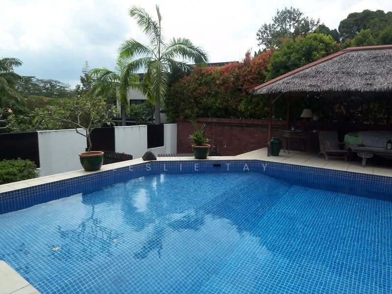 Holland Grove, 3 Holland Grove View, 5 Bedrooms, 5,000 sqft, Detached House For Sale, by Leslie Tay, 500213395 - Pool - PropertyGuru.com.sg