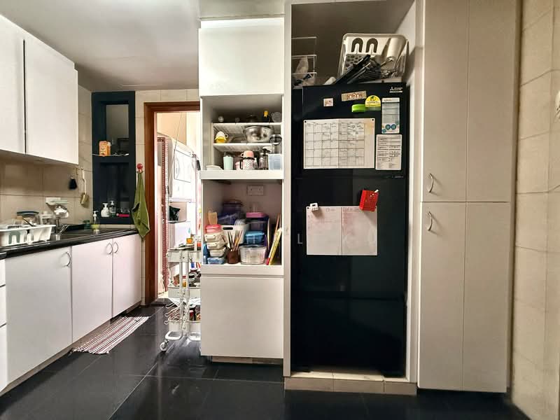 River Place, 60 Havelock Road, 3 Bedrooms, 1,302 sqft, Condominium For Sale, by Rachel Xu, 500213602 - Kitchen - PropertyGuru.com.sg