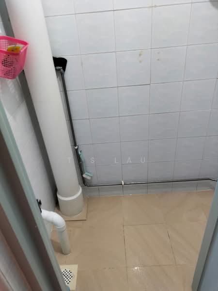 100 Lorong 1 Toa Payoh, 100 Lorong 1 Toa Payoh, Room Rental, 160 sqft, HDB Flat For Rent, by T.S Lau, 500213688 - Bathroom - PropertyGuru.com.sg