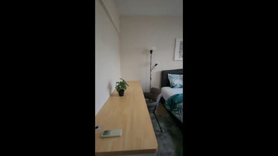 Pine Grove, 1N Pine Grove, Room Rental, 160 sqft, Condominium For Rent, by Tay Shaoqi, 500213850 - PropertyGuru.com.sg