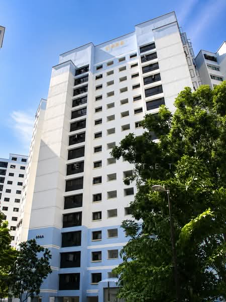648A Jurong West Street 61, 648A Jurong West Street 61, 3 Bedrooms, 980 sqft, HDB Flat For Sale, by Steve Htet, 500214302 - Exterior - PropertyGuru.com.sg