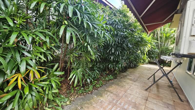 Merryn Road Bungalow with Pool, Merryn Road, 6 Bedrooms, 5,500 sqft, Bungalow House For Rent, by Elaine Tan, 500214483 - Back Area - PropertyGuru.com.sg