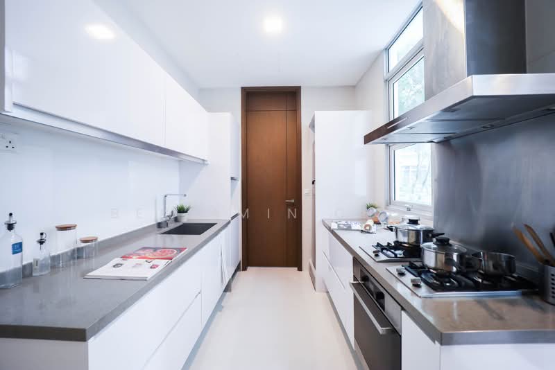 Residences @ Emerald Hill, 119 Emerald Hill Road, 3 Bedrooms, 1,657 sqft, Condominium For Sale, by Benjamin Chew, 500214567 - Kitchen - PropertyGuru.com.sg