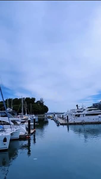 Caribbean at Keppel Bay, 46 Keppel Bay Drive, 3 Bedrooms, 1,270 sqft, Condominium For Rent, by Young Chng, 500214635 - Exterior - PropertyGuru.com.sg