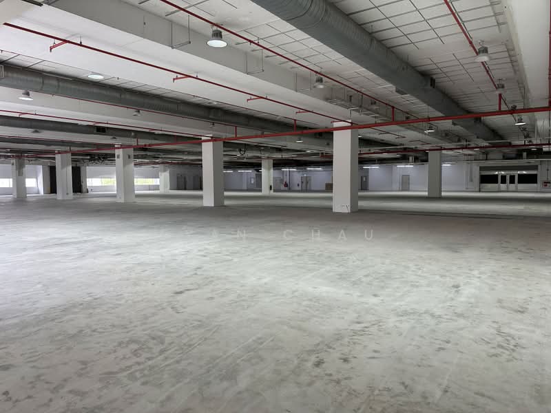 Air Con | Loading Bays | 3.6m Clear @ Changi, Changi, 33,000 sqft, Warehouse For Rent, by Ryan Chau, 500214657 - Interior - CommercialGuru.com.sg