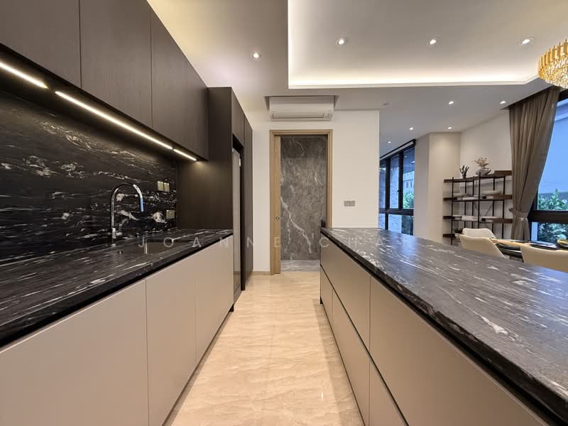 ⭐Eminence Landed⭐Brand New 3.5+M Sty Semi-D @ Orchard Fernhill Rd Dalvey Rd Nassim Rd Stevens Close, , 7 Bedrooms, 7,441 sqft, Semi-Detached House For Sale, by Joanne Chan, 500214692 - Kitchen - PropertyGuru.com.sg