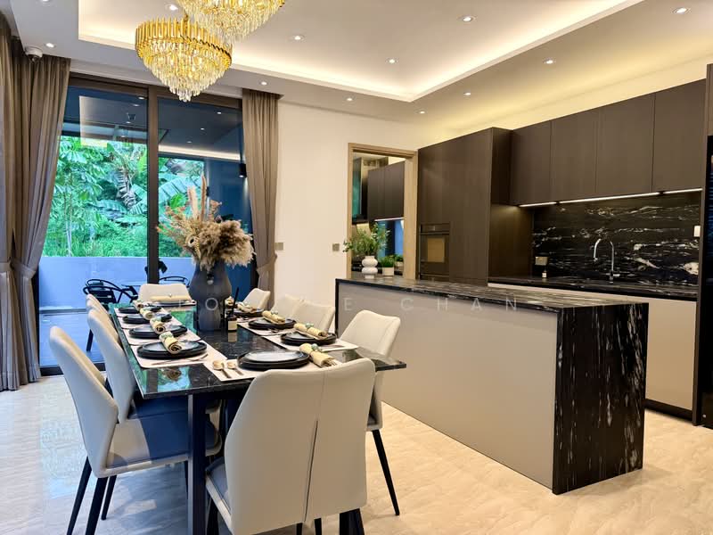 ⭐Eminence Landed⭐Brand New 3.5+M Sty Semi-D @ Orchard Fernhill Rd Dalvey Rd Nassim Rd Stevens Close, , 7 Bedrooms, 7,441 sqft, Semi-Detached House For Sale, by Joanne Chan, 500214692 - Kitchen - PropertyGuru.com.sg