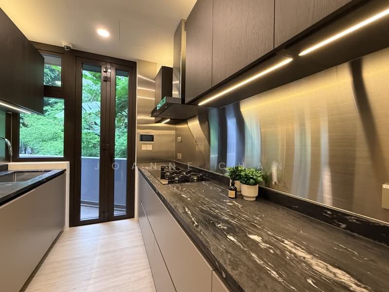 ⭐Eminence Landed⭐Brand New 3.5+M Sty Semi-D @ Orchard Fernhill Rd Dalvey Rd Nassim Rd Stevens Close, , 7 Bedrooms, 7,441 sqft, Semi-Detached House For Sale, by Joanne Chan, 500214692 - Kitchen - PropertyGuru.com.sg