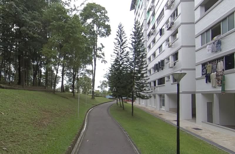 605 Choa Chu Kang Street 62, 605 Choa Chu Kang Street 62, 4 Bedrooms, 1,560 sqft, HDB Flat For Sale, by Clara Koh, 500214722 - Exterior - PropertyGuru.com.sg
