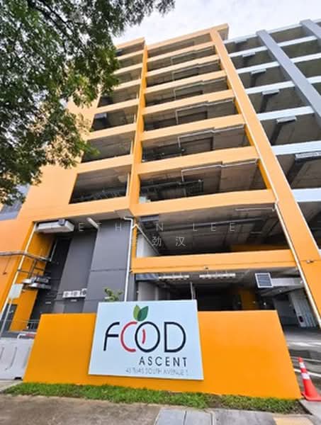 FOOD ASCENT