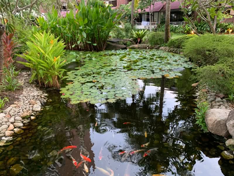 Eastern Lagoon II, 200 Upper East Coast Road, 1 Bedroom, 721 sqft, Condominium For Sale, by Alicia Chia, 500215520 - Garden - PropertyGuru.com.sg