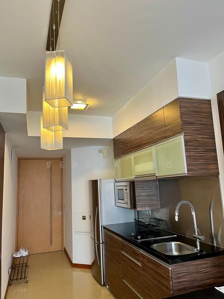 The Clift, 21 McCallum Street, 1 Bedroom, 506 sqft, Apartment For Sale, by Serena Yeo, 500215521 - Kitchen - PropertyGuru.com.sg