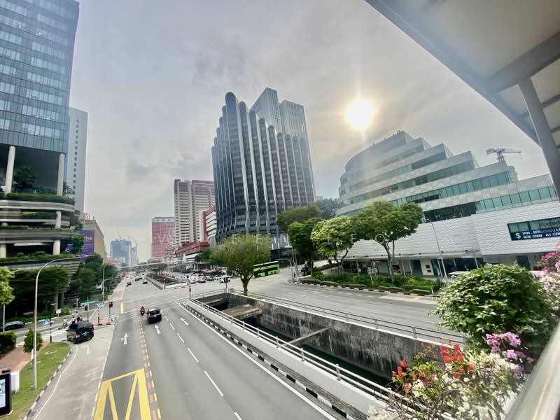 Havelock II, 2 Havelock Road, Boat Quay / Raffles Place / Marina, 808 sqft, Other Retail For Rent, by Viveen Leo, 500215540 - Exterior - CommercialGuru.com.sg