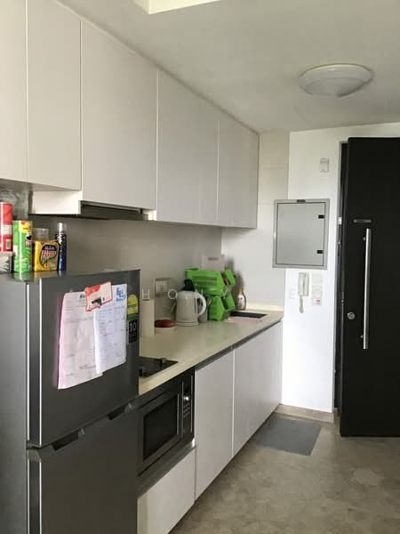 Haig 162, 162 Haig Road, 1 Bedroom, 366 sqft, Condominium For Rent, by Anthony Yeo, 500215836 - Kitchen - PropertyGuru.com.sg