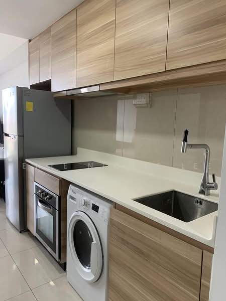 The Poiz Residences, 12 Meyappa Chettiar Road, Studio, 420 sqft, Condominium For Rent, by Renee Nicole Lee, 500216094 - Kitchen - PropertyGuru.com.sg