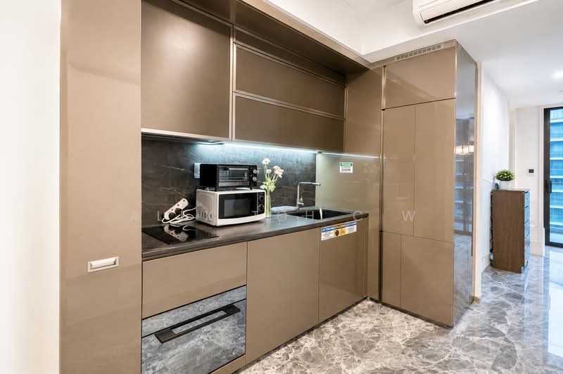 One Bernam, 1 Bernam Street, Room Rental, 100 sqft, Condominium For Rent, by Alex Toh C W, 500216174 - Kitchen - PropertyGuru.com.sg