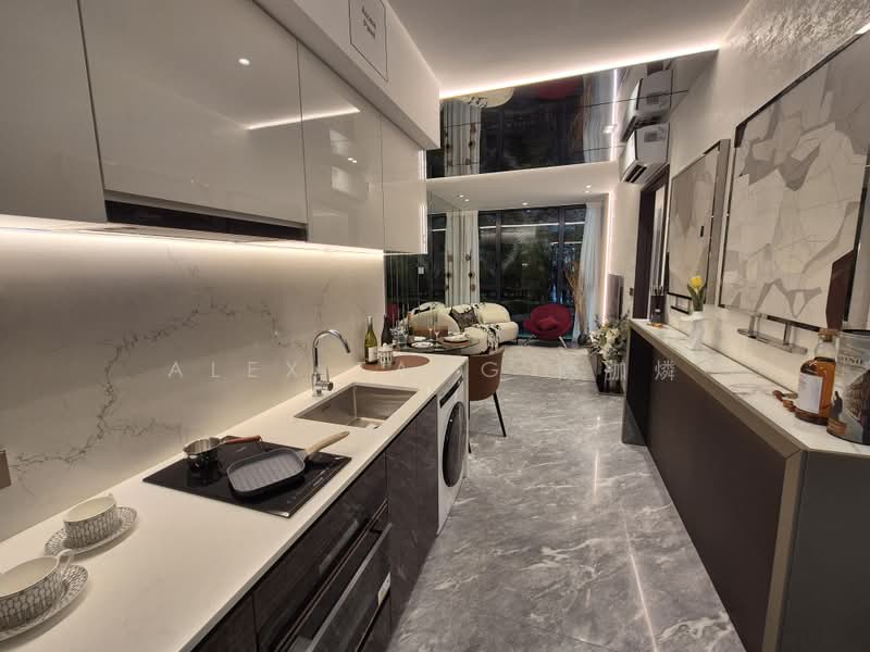 Sophia Meadow, 132 Sophia Road, Orchard / River Valley, 1 Bedroom, 560 sqft, Condominium For Sale, by Alex Tang 陳拁燐, 500216295 - Kitchen - PropertyGuru.com.sg