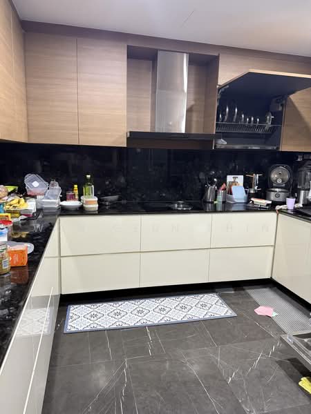 Regency Park, 9 Nathan Road, 3 Bedrooms, 3,175 sqft, Condominium For Rent, by Won Geun Shin, 500216397 - Kitchen - PropertyGuru.com.sg