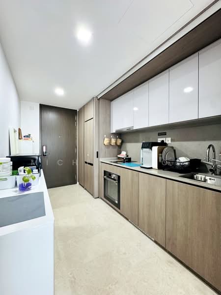 Avenue South Residence, 1 Silat Avenue, 1 Bedroom, 527 sqft, Condominium For Rent, by Michelle Yow, 500216450 - Kitchen - PropertyGuru.com.sg