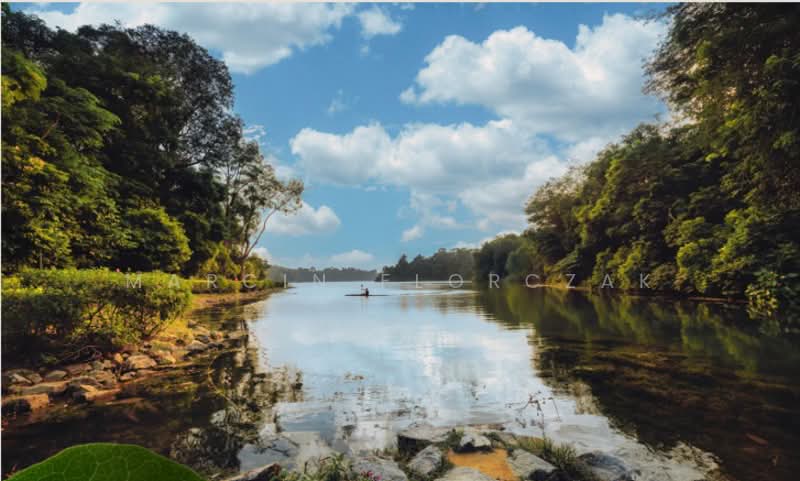 Thomson Reserve, Bright Hill Drive, 3 Bedrooms, 926 sqft, Condominium For Sale, by Marcin Florczak, 500216552 - Near MacRitchie Reservoir - PropertyGuru.com.sg